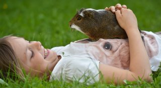 Tierärztin im Interview: Darum sollten Kinder keine eigenen Haustiere haben