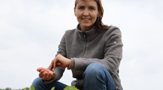 Dreiste Erdbeerdiebe in Löhne: So will eine Landwirtin dagegen vorgehen