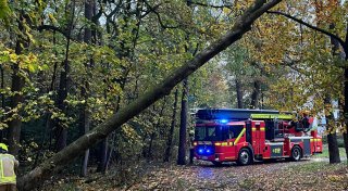 Feuerwehr bannt Sturmgefahr durch umstürzenden Baum