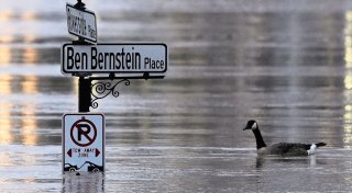 Mindestens 20 Tote bei Unwettern in den USA