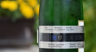 Zu warm? Zu kalt? Richtige Weintemperatur macht Unterschied