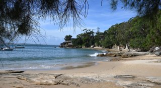 Haiangriff nahe Sydney: Frau schwer am Bein verletzt
