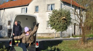 Weihnachtsbaum-Weitwurf in Nieheim: Wer gewinnt dieses Jahr?
