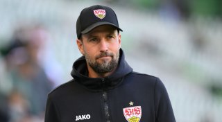 Stuttgarts Hoeneß freut Rosicky-Lob: «Kann ich zurückgeben»