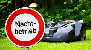 Plötzliche Wende beim Igelschutz: Stadt Gütersloh darf Verbot nicht verhängen