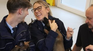 Welpen-Alarm im Kreis Gütersloh: Polizei stellt besonderen Hundewurf vor