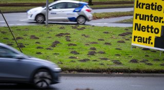 Maulwurfinvasion in Bielefeld: Gefährliche Situation am Adenauerplatz