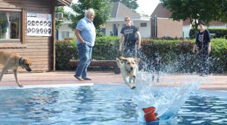 Hund bei Sommerhitze abkühlen: Die besten Tipps für Hundebesitzer