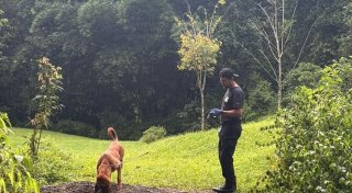 Deutsch-österreichisches Paar in Costa Rica getötet