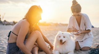 Hundstage 2025 starten mild: Das sind die Wetteraussichten für OWL