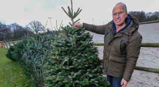 Weihnachtsbaum-Wissen: Bielefelder Experte hat wichtige Tipps zu Kauf und Pflege