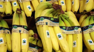 Fairtrade-Produkte gefragt - deutlich mehr Bananen verkauft