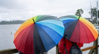 «Und täglich grüßt das Murmeltier» - weiter Wolken und Regen