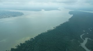 Amazonas im Stress - «auch in Berlin spürbar»