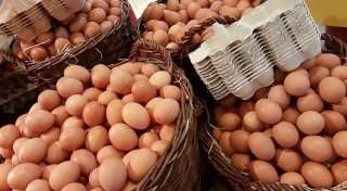 Ostereier in Bielefeld knapp: Engpässe bei Bio-Eiern vor den Feiertagen