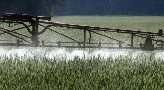 Bauern verklagen Pflanzenschutz-Händler auf Millionen