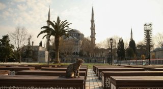 Kontroverse in Türkei - Frauenrechtlerin legt Kopftuch ab