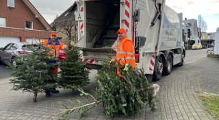 Hier können Sie Weihnachtsbäume im Kreis Paderborn entsorgen
