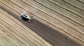 Studie: Landwirtschaft könnte Treibhausgase stark reduzieren