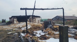 Enorme Hilfsbereitschaft: Familie aus Hille bekommt nach Stallbrand viel Unterstützung