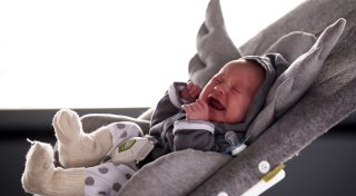 «Trost für Eltern» - Baby-Geschrei liegt (auch) in den Genen