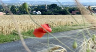 NW-Ortscheck Hüllhorst: Gute Noten bei Ehrenamt und Sauberkeit