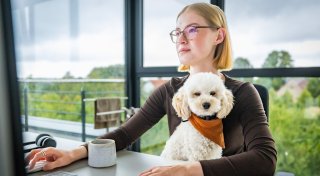 33 Hunde, 31 Mitarbeiter: Gelebte Work-Life-Balance beim Bielefelder Unternehmen Hunter