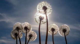 Fast 30 Grad am Maifeiertag - Jetzt folgt Temperatursturz