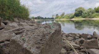Weserpegel bei Höxter droht der Absturz