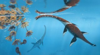 Forscher präsentieren urtümliches Meeresreptil aus Dino-Zeit