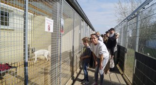 Immer Notfälle im Tierheim: Hinter den Kulissen mit Lübbecker Tierschützern