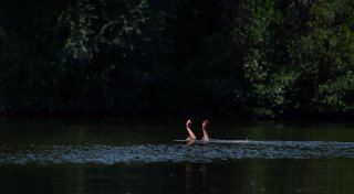 6 typische Gefahren beim Baden - und wie man sich schützt