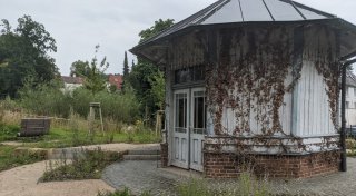 Millionenstreit zwischen Graf und Stadt Bad Driburg: Gutachten soll Schuldfrage klären