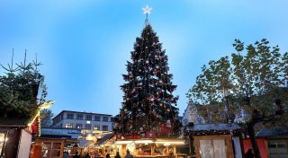 Herforder Weihnachtsmarkt 2024: Die schönsten Highlights und alle Öffnungszeiten