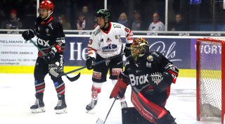 Beim Herforder Eishockey Verein tut sich was - wovon der Sportliche Leiter noch träumt
