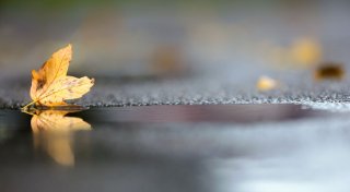 Regen klingt ab: Sonniger Norden und grauer Süden