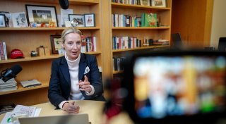 Bundesregierung: Weidel-Musk-Talk gehört zum AfD-Wahlkampf