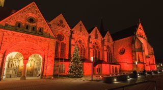 Orange Day 2025: Erschreckende Zahlen am Tag gegen Gewalt an Frauen veröffentlicht