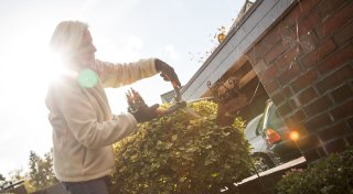 Herbst: Muss ich jetzt zur Gartenschere greifen?