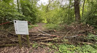 Inoffizieller Hundestrand im Kreis Herford seit vier Jahren gesperrt - bleibt das so?
