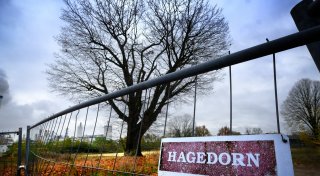 Anwohnerin kämpft gegen Gütersloher Unternehmen Hagedorn - nun klagt sie gegen Baupläne