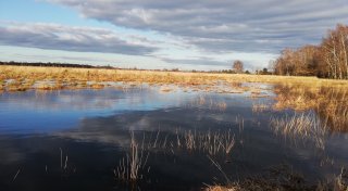 Stemwede: Windräder im Moor sind vom Tisch