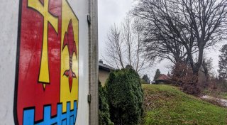 Nach Protest wegen Baumfällung in Borgentreich: Es bleibt alles, wie es ist