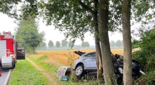 Autofahrer bei Unfall im Kreis Gütersloh schwer verletzt - Hund im Kofferraum
