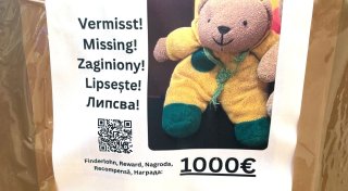 Teddy vermisst: Bielefelder erfährt große Unterstützung aus ganz Deutschland