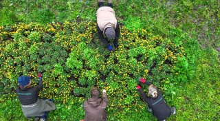 Wie sich mit Gartenarbeiten Steuern sparen lassen