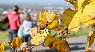 Tipps für die Herbstferien: Ausflugsziele für Familien im Kreis Paderborn