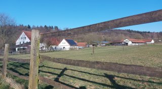 Luxus-Reitanlage im Kreis Gütersloh - Olympiasieger-Anwesen steht zum Verkauf