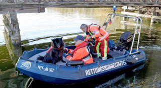 Suche nach Kind: Leichenhunde schlagen bei Suche auf See an