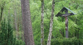 Bad Lippspringe bekommt einen Memoriam-Garten auf dem Waldfriedhof